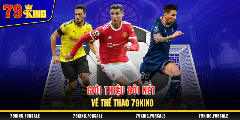 Thông tin chung về sảnh thể thao 79King