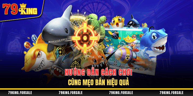 Cách chơi và mẹo bắn cá Tiểu Tiên Cá